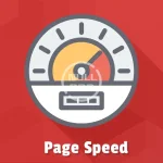 pagespeed.block_1.webp