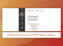 ecommerce_duplicate_categories__m2__application_4.webp