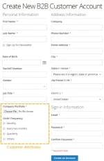 b2b-customer-attributes-magento-2_1.webp