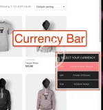 02_currency_bar.webp