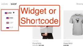 03_widget_or_shortcode.webp