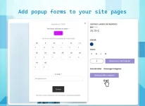 popup-form.webp