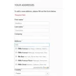 google-address-autocomplete.webp