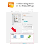 blog-pro-loyalty-program (6).webp