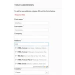 google-address-autocomplete.webp